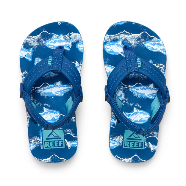 Reef Kids Ahi - Royal Sharks