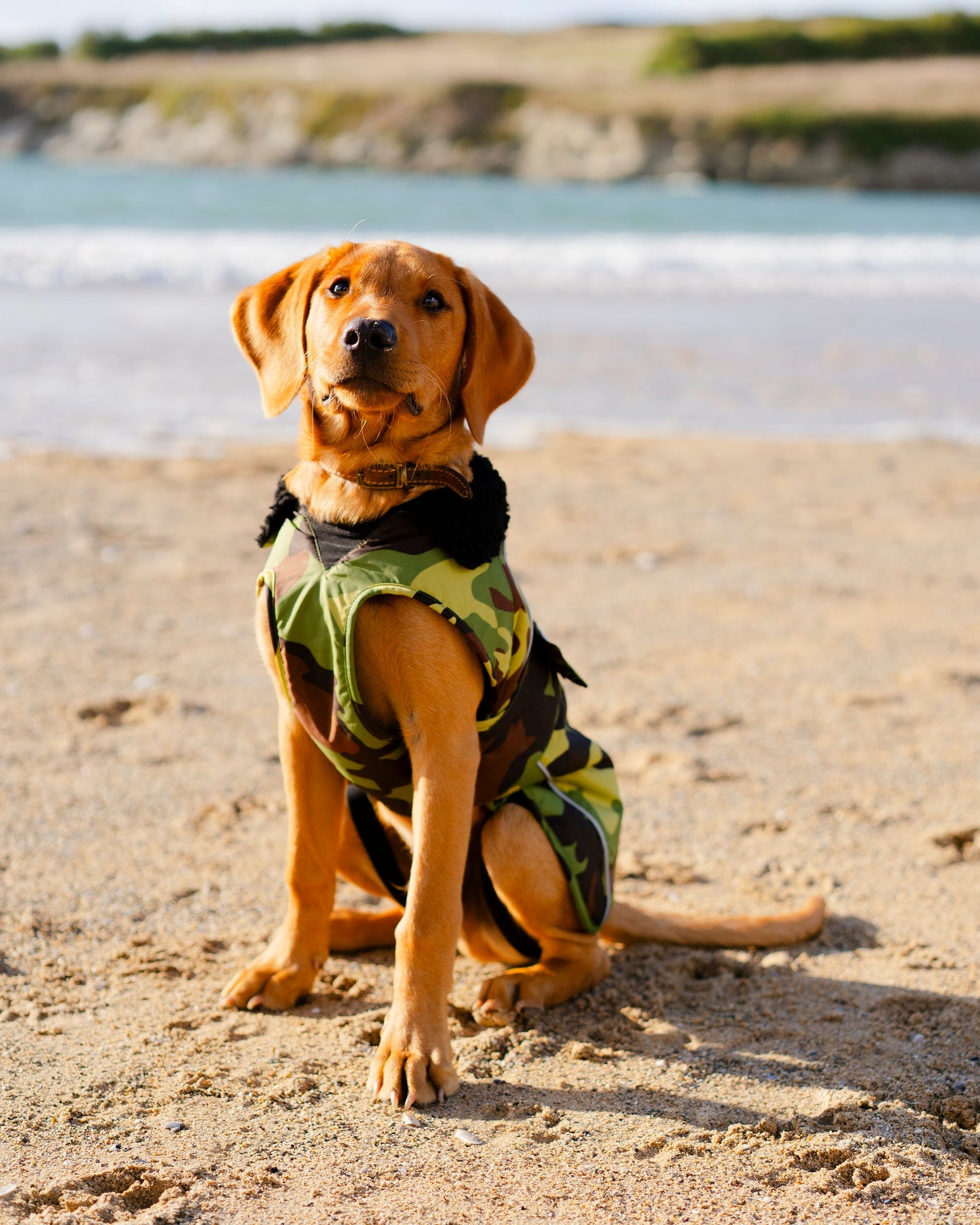 Dryrobe Dog - Green Camouflage/Black