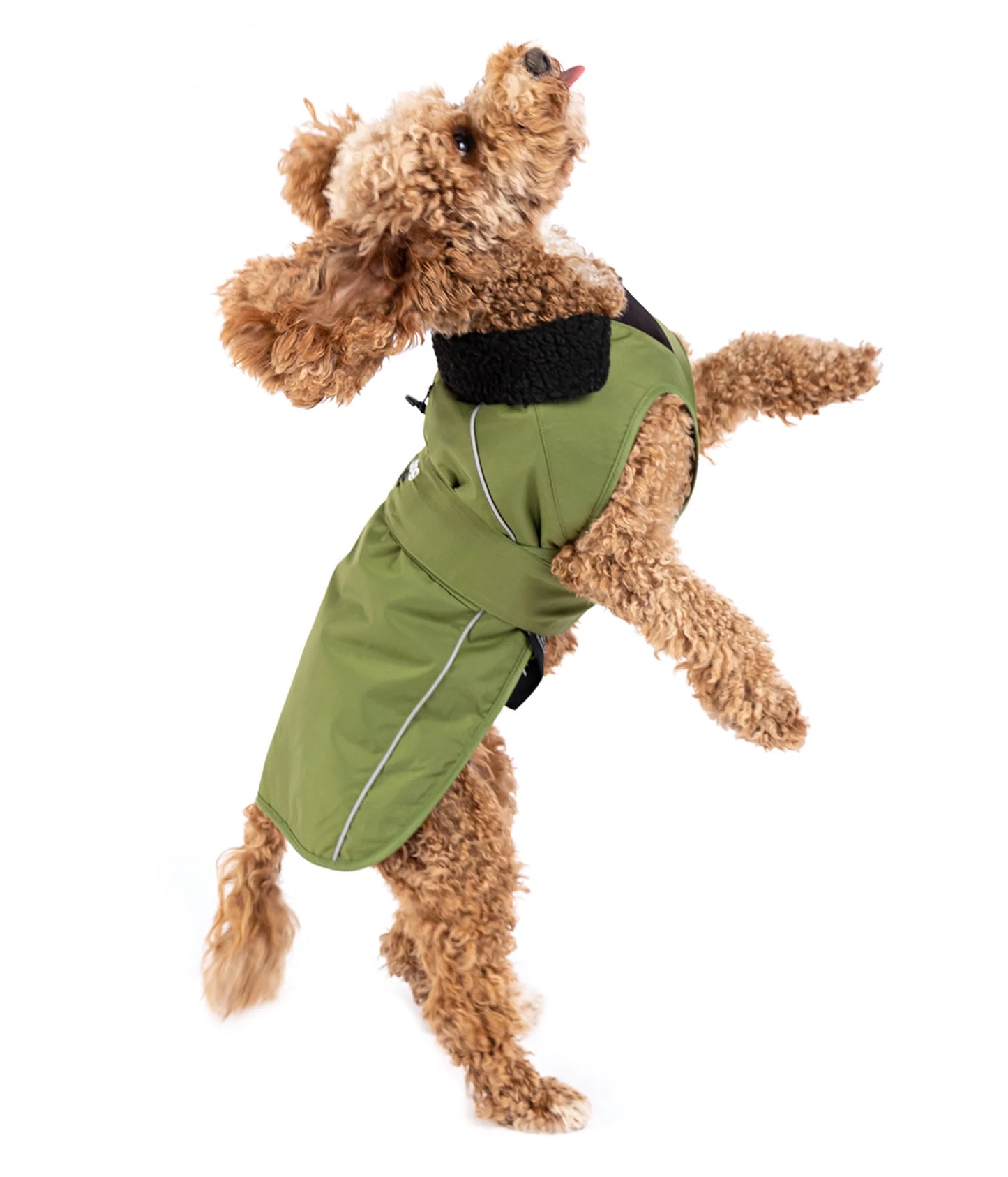 DryRobe Dog - Dark Green/Black