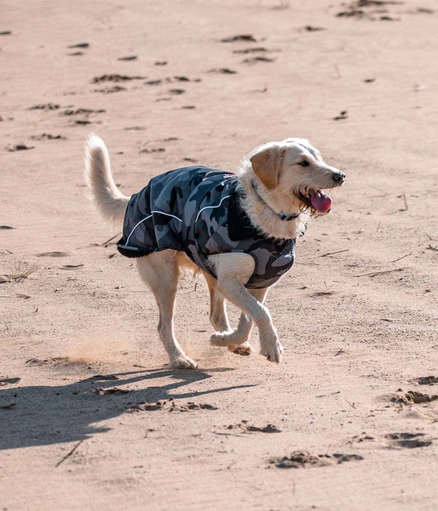 DryRobe Dog - Black Camo/Black