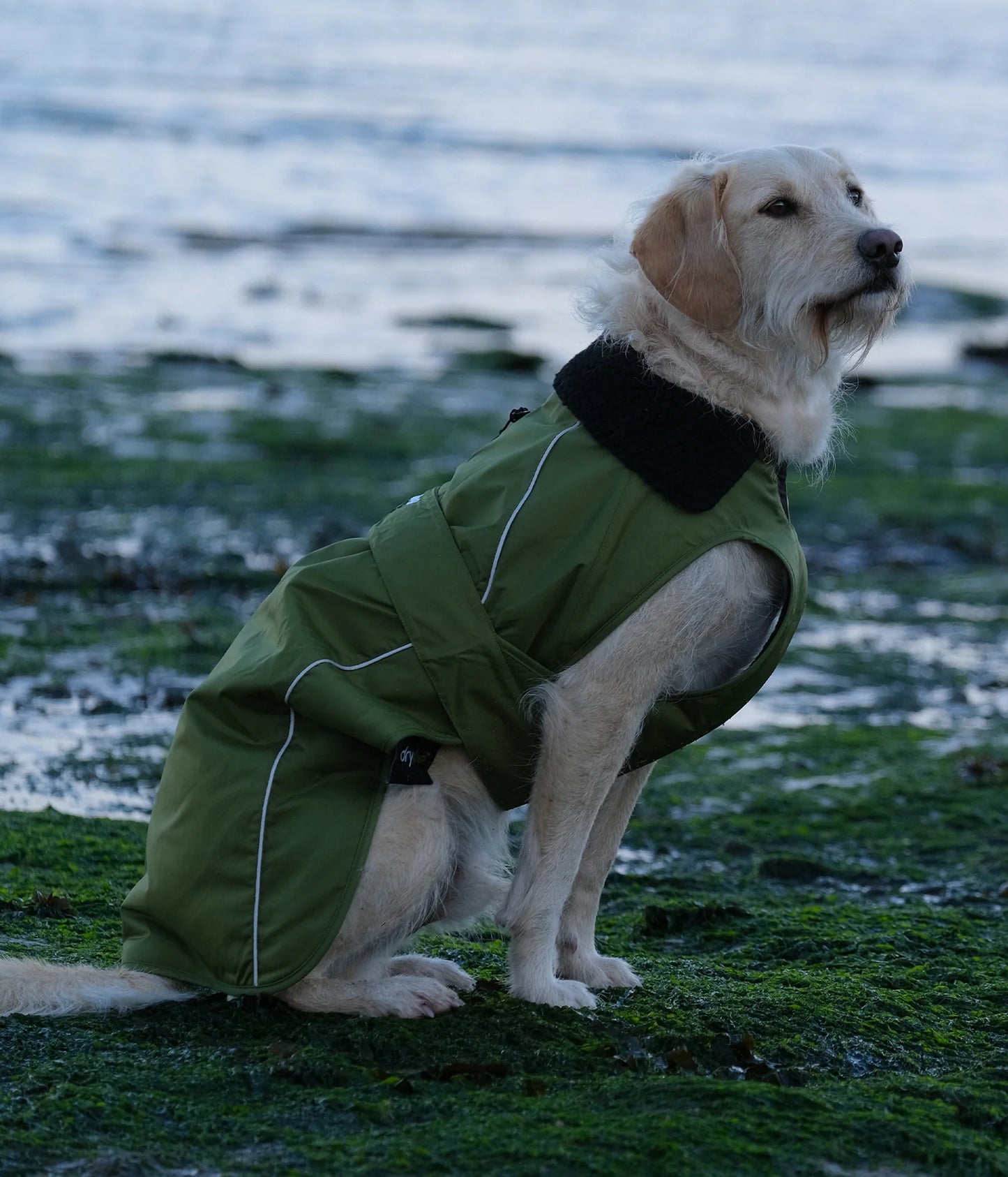 DryRobe Dog - Dark Green/Black