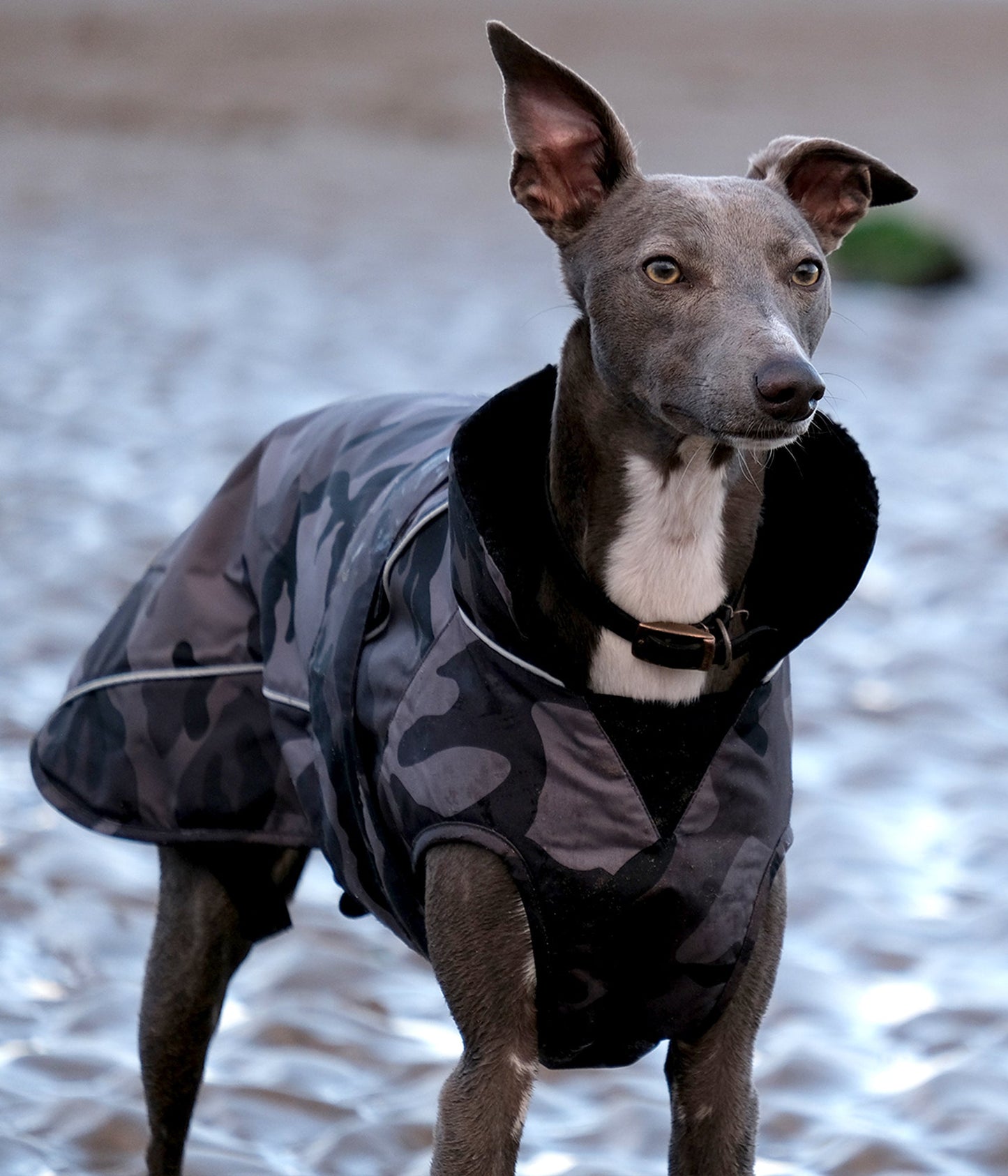 DryRobe Dog - Black Camo/Black