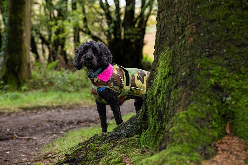 Dryrobe Dog - Camo Pink