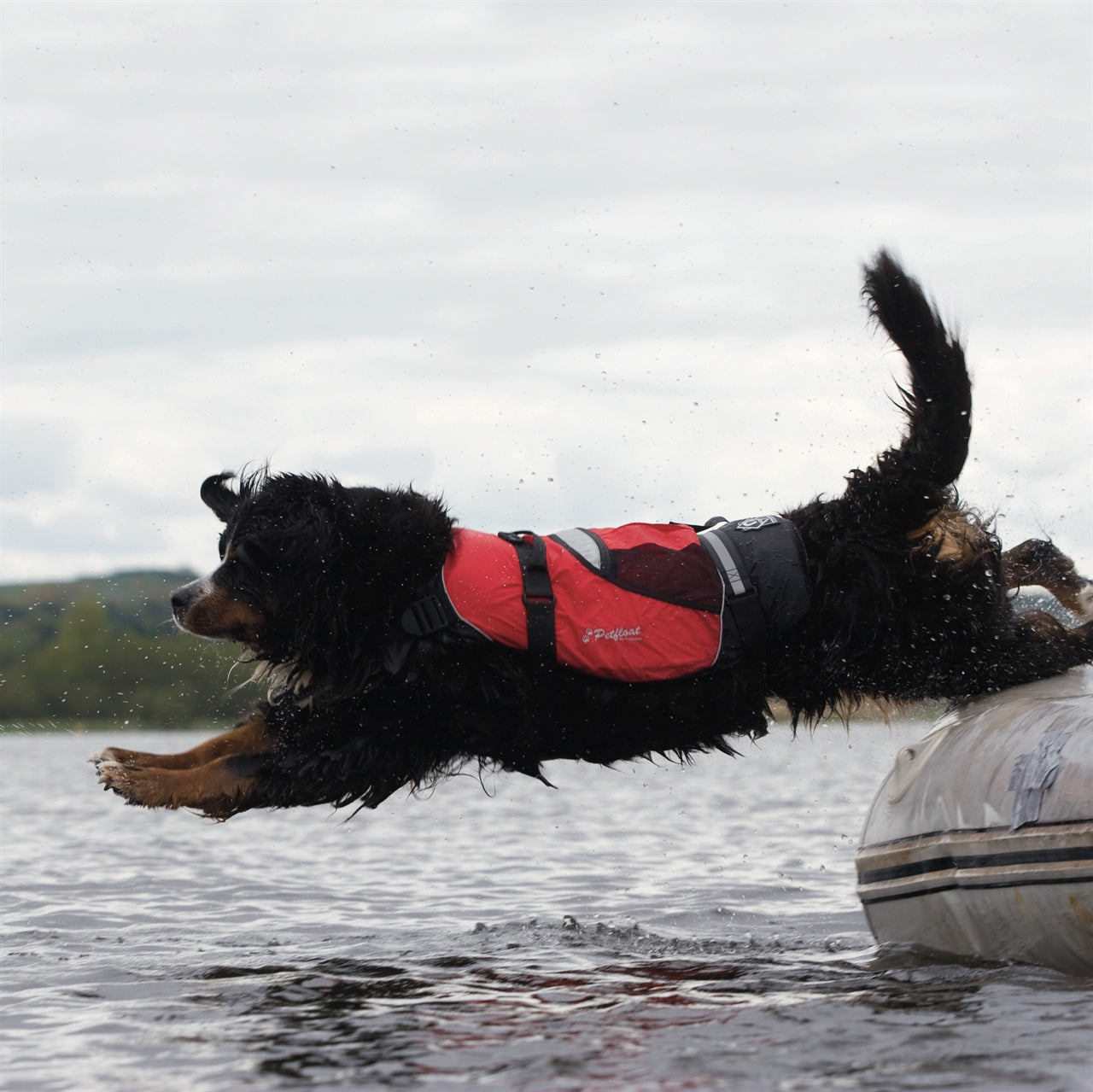Crewsaver Pet Float