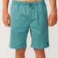 Rip Curl Classic Surf 19" Volley Shorts - Dusty Jade