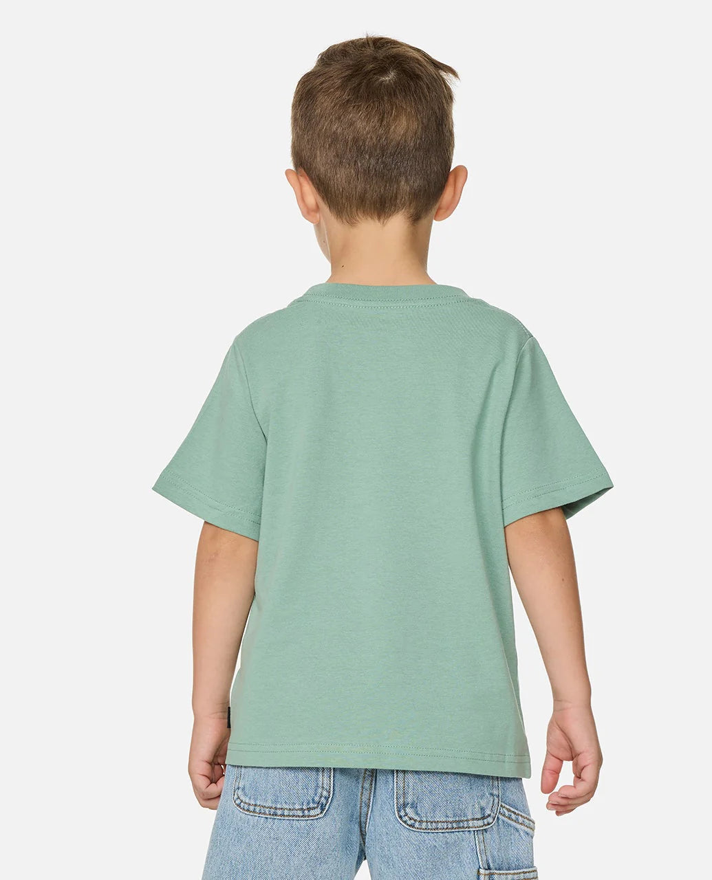 Rip Curl Boys Wettie Passage Icon Tee - Aloe