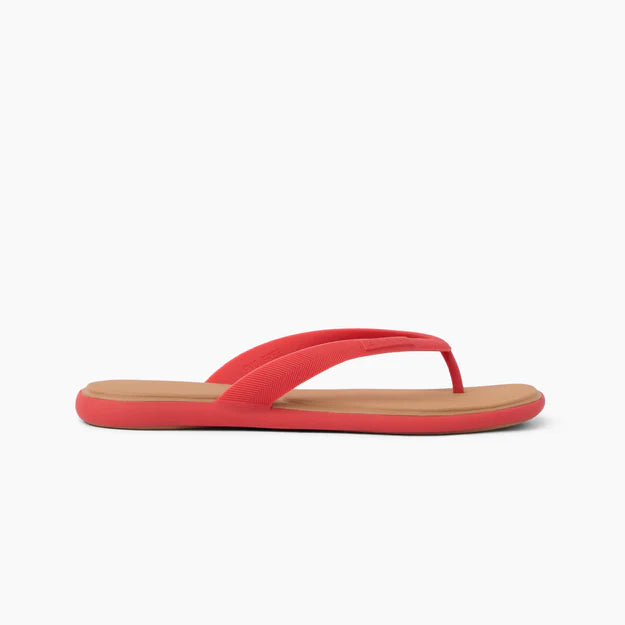 Reef Ladies Water Willow - Malibu Hibiscus