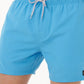 Rip Curl Offset Volley Shorts - Northern Blue