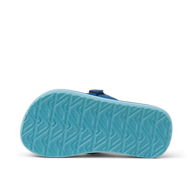 Reef Kids Ahi - Royal Sharks