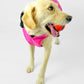 Dryrobe Dog - Pink/Black