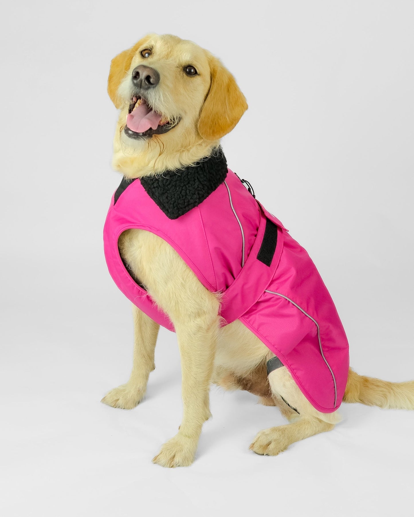 Dryrobe Dog - Pink/Black