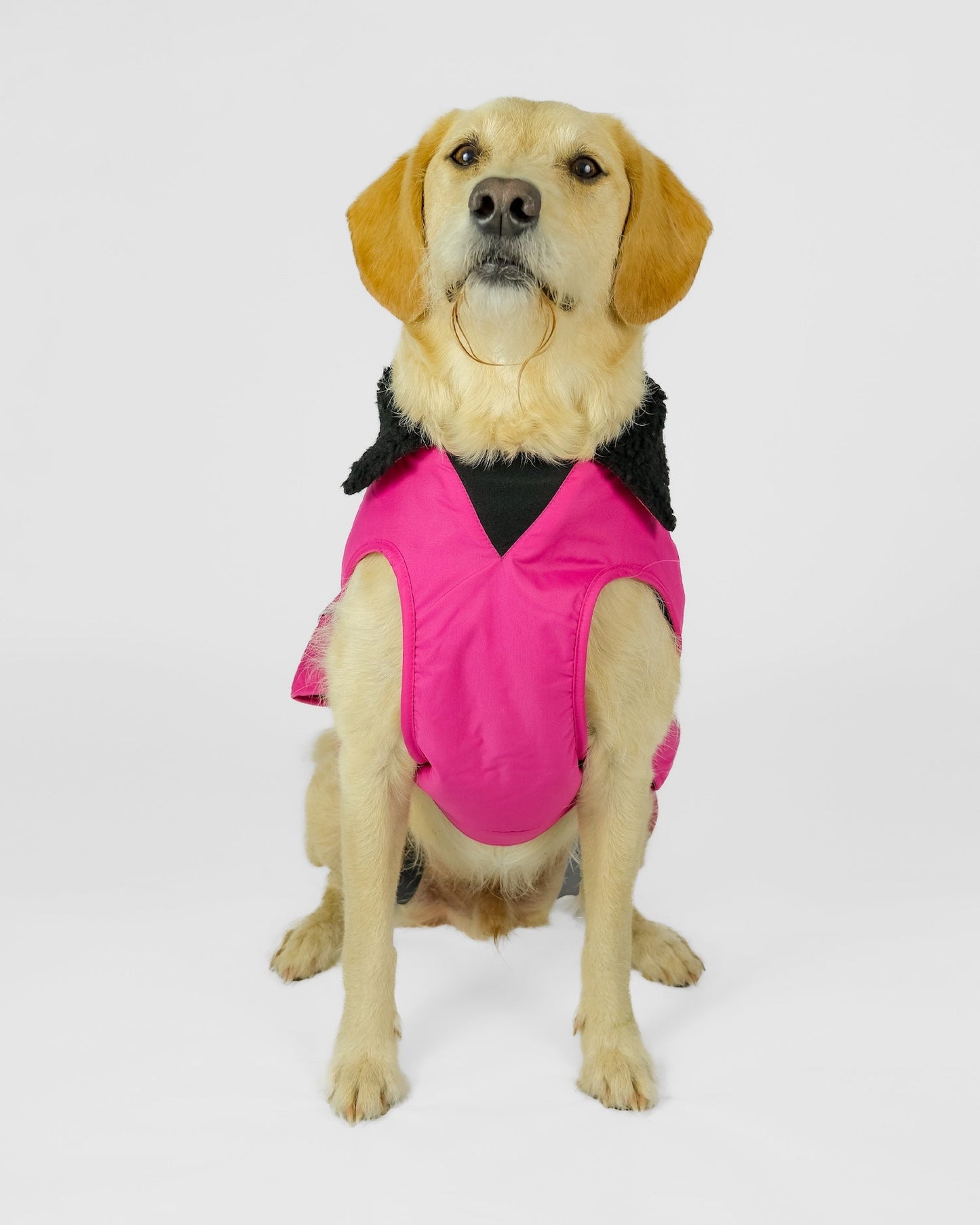 Dryrobe Dog - Pink/Black