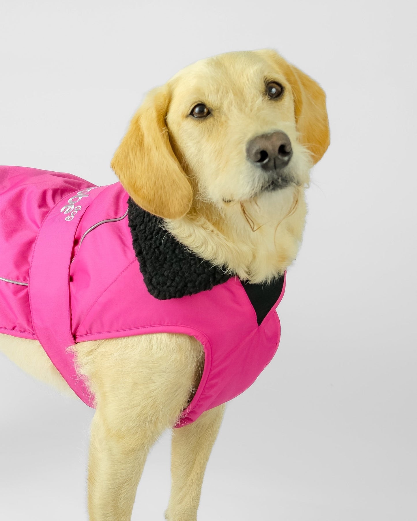 Dryrobe Dog - Pink/Black