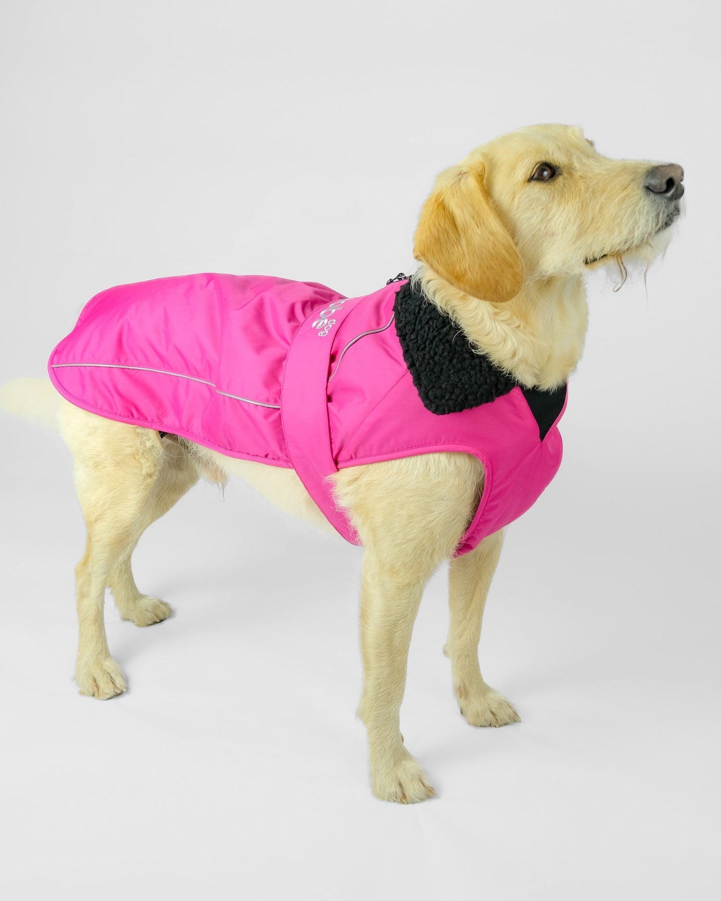 Dryrobe Dog - Pink/Black