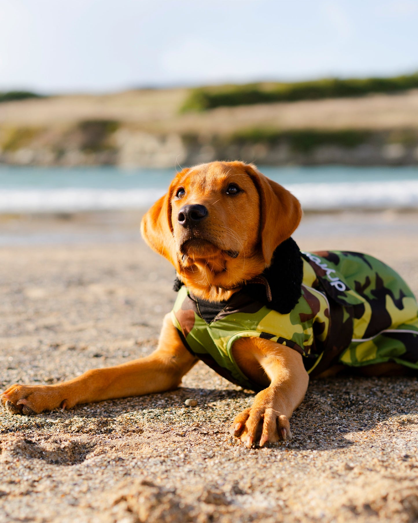 Dryrobe Dog - Green Camouflage/Black