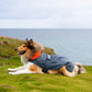 Dryrobe Dog - Dark Grey/Orange