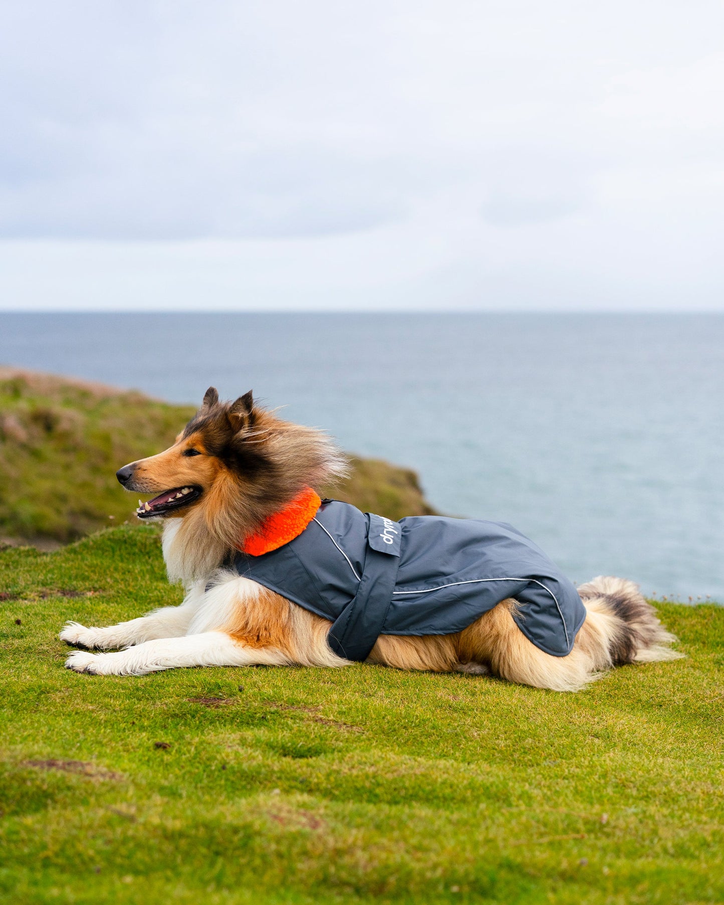 Dryrobe Dog - Dark Grey/Orange