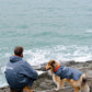 Dryrobe Dog - Dark Grey/Orange