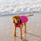 Dryrobe Dog - Pink/Black