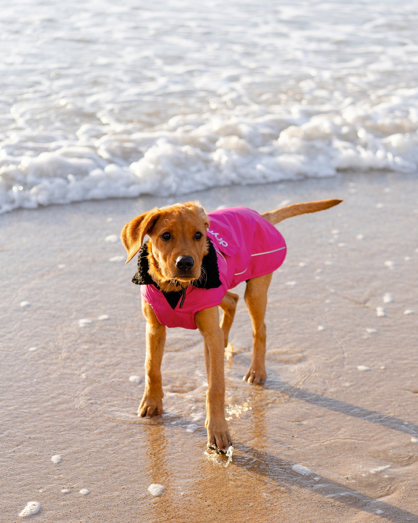 Dryrobe Dog - Pink/Black