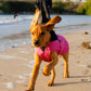 Dryrobe Dog - Pink/Black