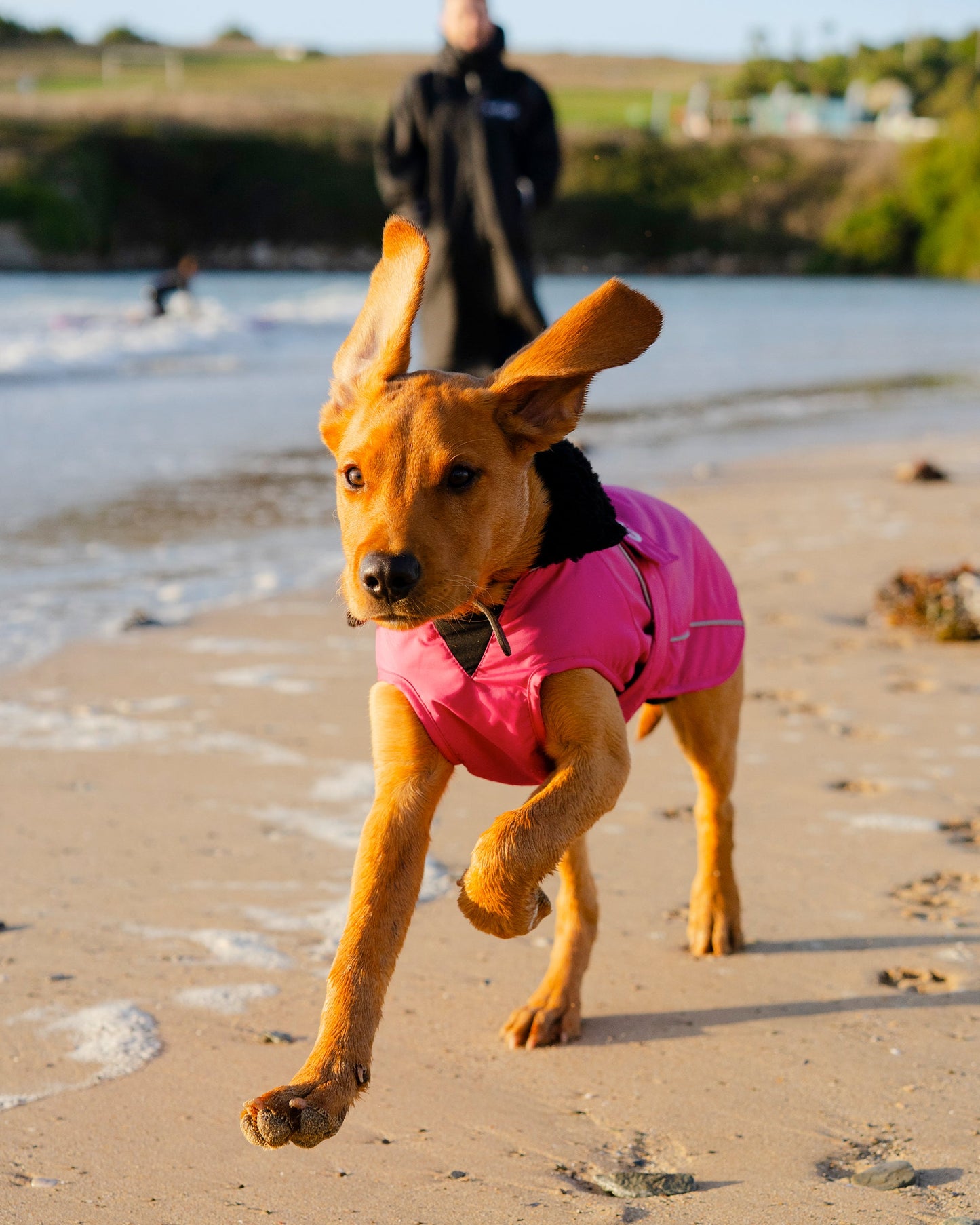 Dryrobe Dog - Pink/Black