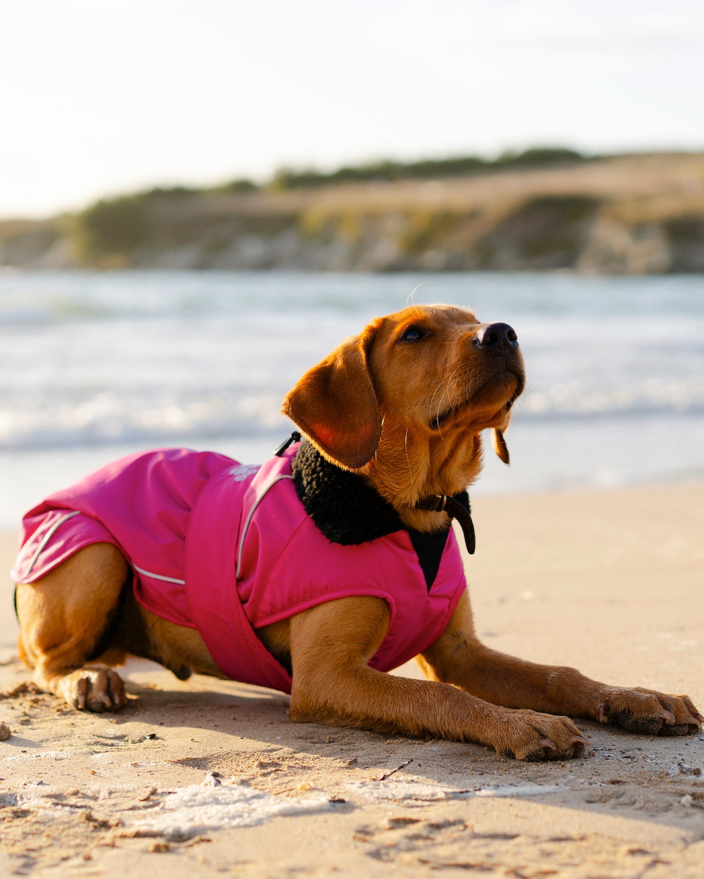 Dryrobe Dog - Pink/Black
