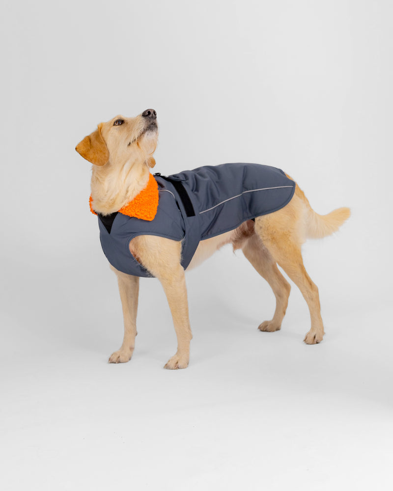 Dryrobe Dog - Dark Grey/Orange