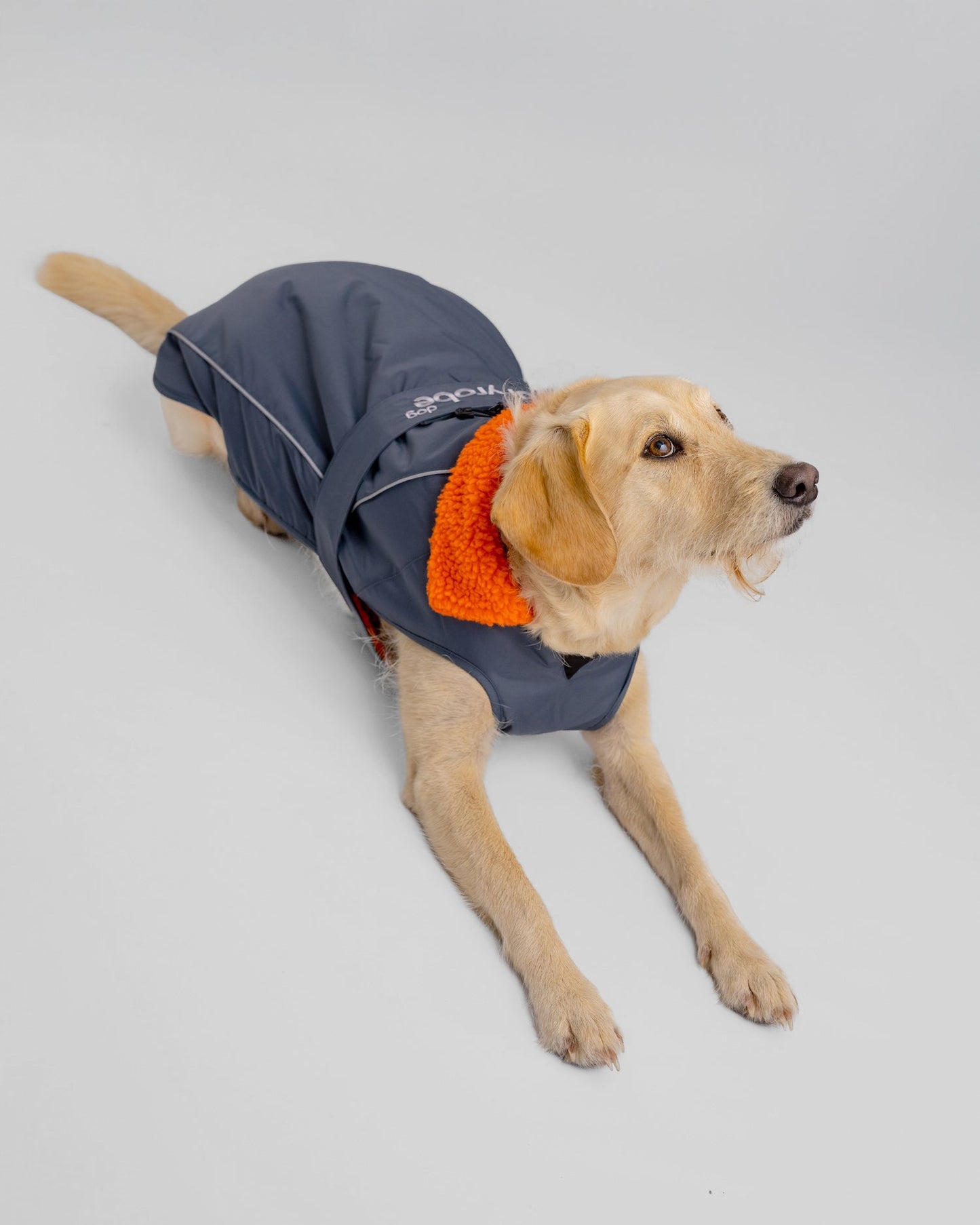 Dryrobe Dog - Dark Grey/Orange