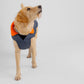 Dryrobe Dog - Dark Grey/Orange