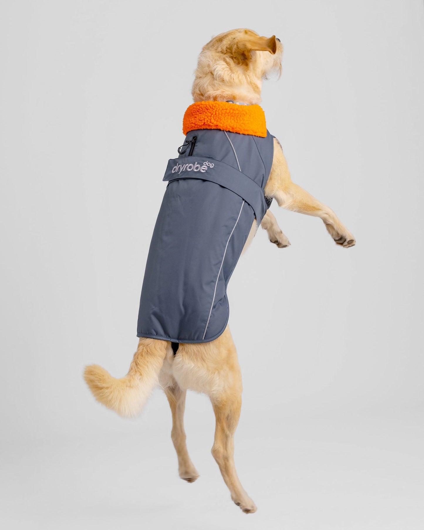 Dryrobe Dog - Dark Grey/Orange