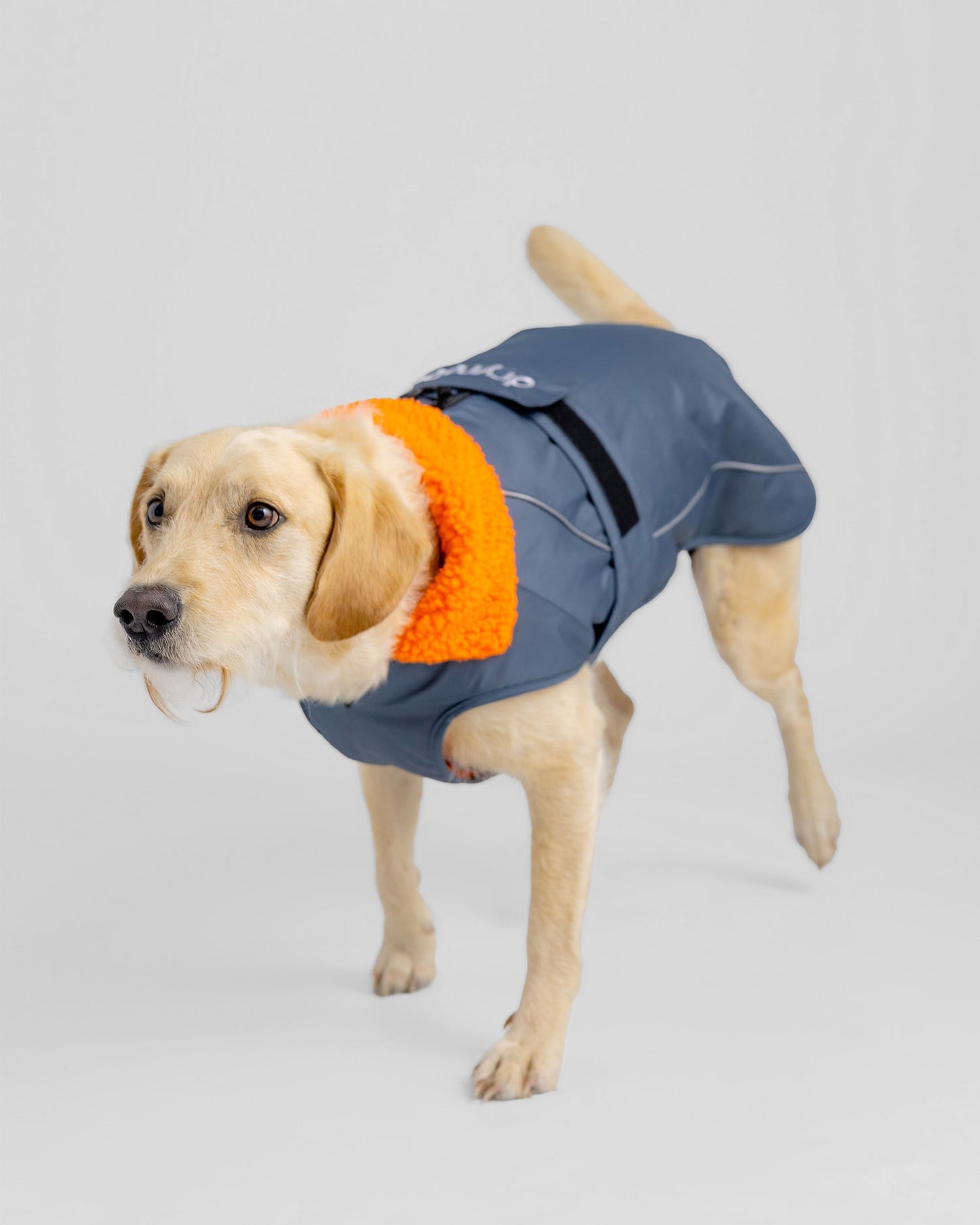 Dryrobe Dog - Dark Grey/Orange