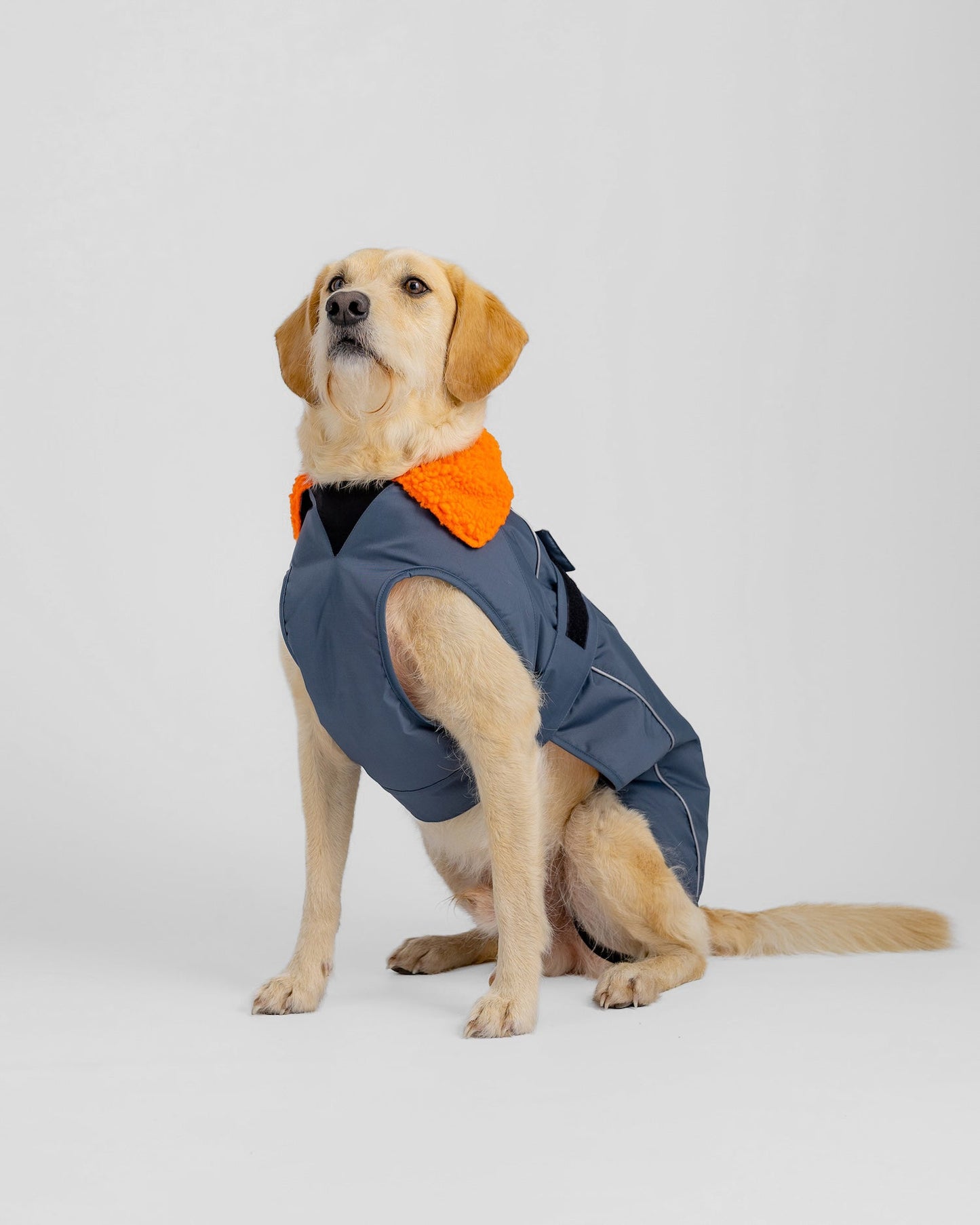 Dryrobe Dog - Dark Grey/Orange