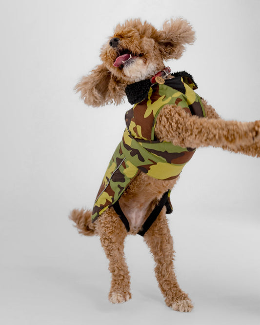 Dryrobe Dog - Green Camouflage/Black