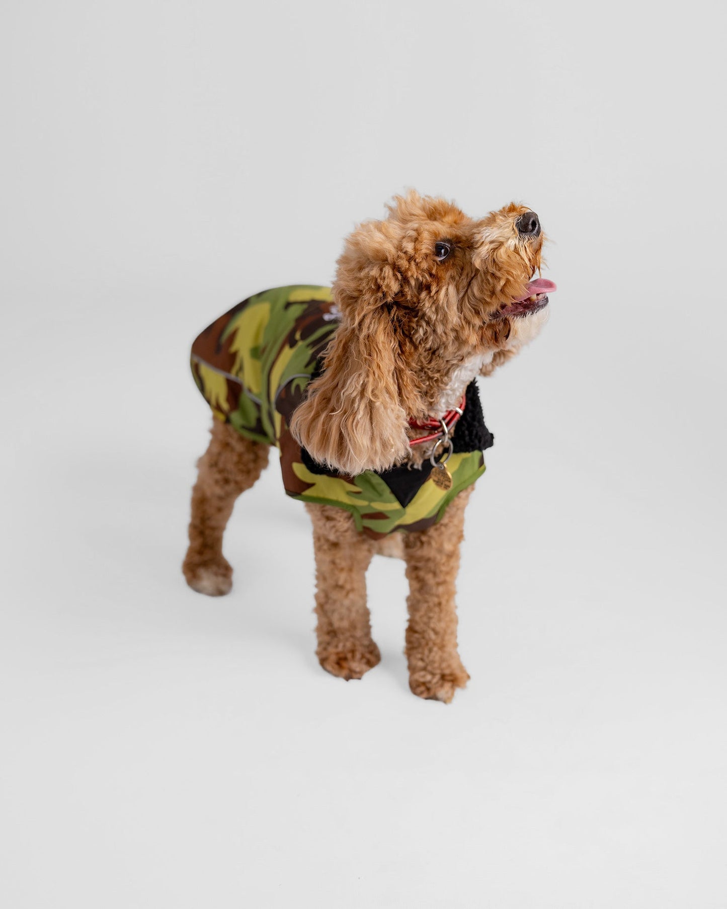 Dryrobe Dog - Green Camouflage/Black