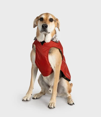 Dryrobe Dog - Burnt Orange