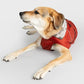 Dryrobe Dog - Burnt Orange
