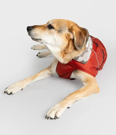 Dryrobe Dog - Burnt Orange