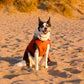 Dryrobe Dog - Burnt Orange
