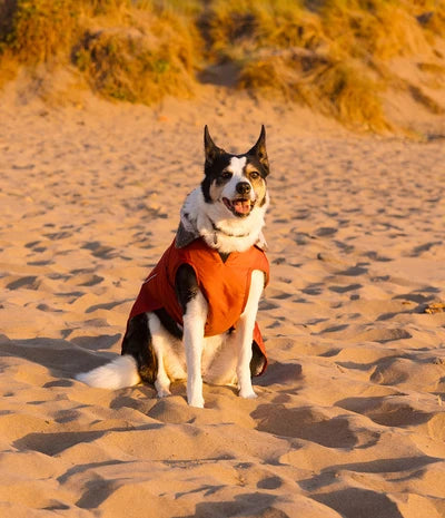 Dryrobe Dog - Burnt Orange