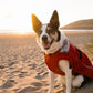 Dryrobe Dog - Burnt Orange