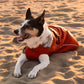 Dryrobe Dog - Burnt Orange