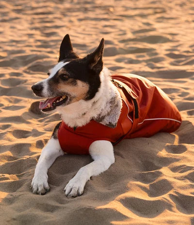 Dryrobe Dog - Burnt Orange