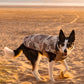 DryRobe Dog - Sand Camo