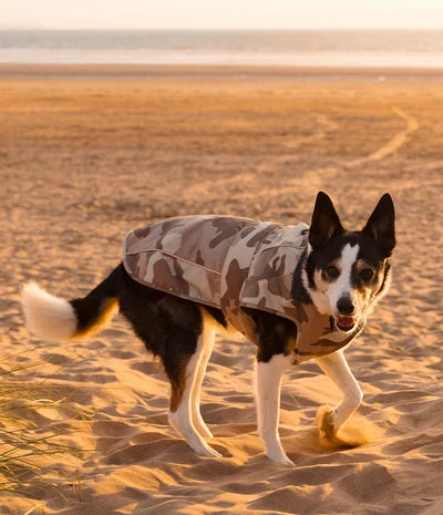 DryRobe Dog - Sand Camo