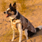 DryRobe Dog - Sand Camo