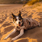 DryRobe Dog - Sand Camo