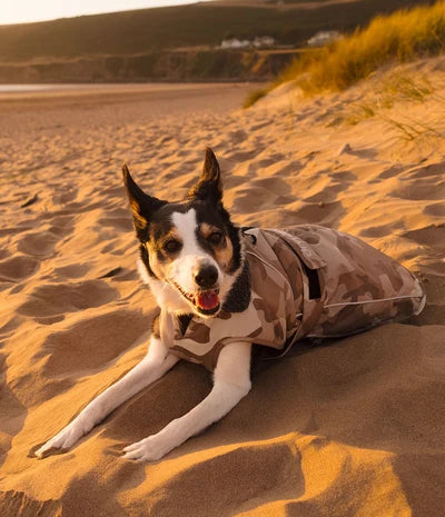 DryRobe Dog - Sand Camo