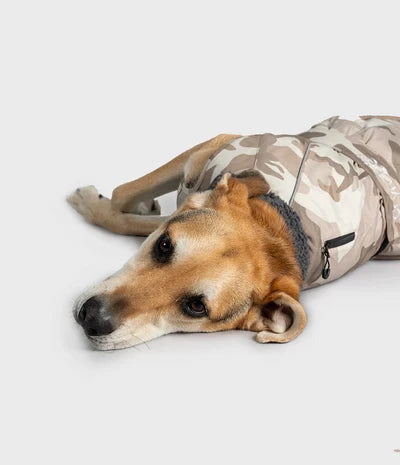 DryRobe Dog - Sand Camo