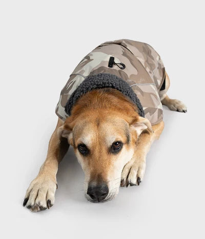 DryRobe Dog - Sand Camo